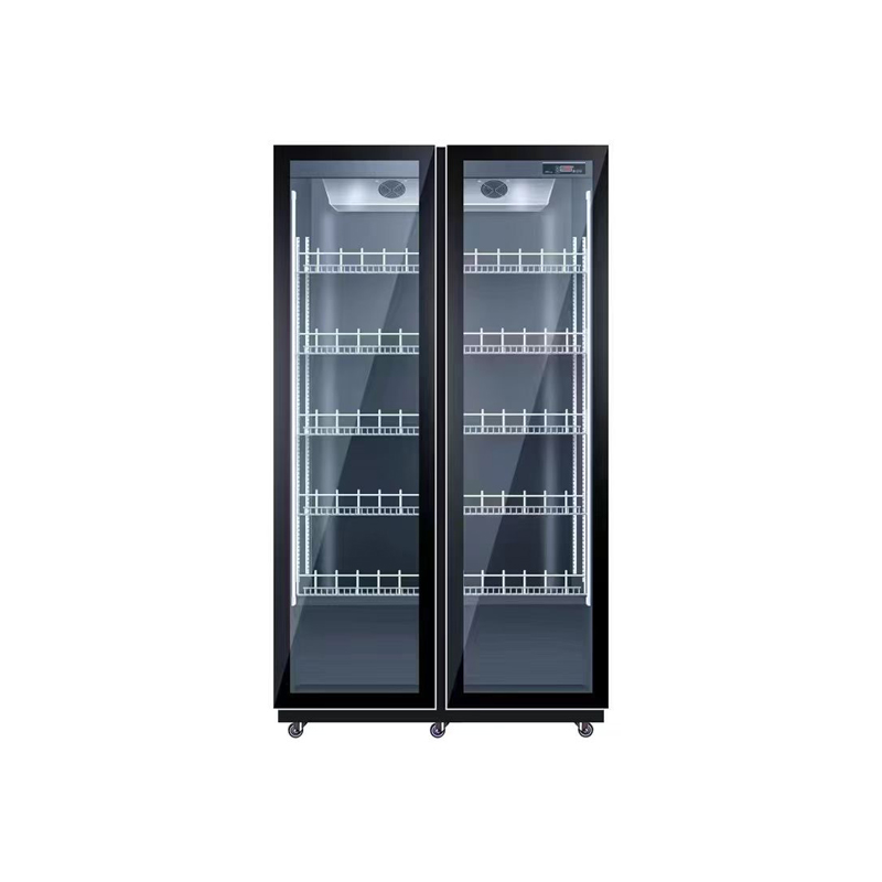 Wine Beer Dual Zone - Réfrigérateur de refroidissement par Air à